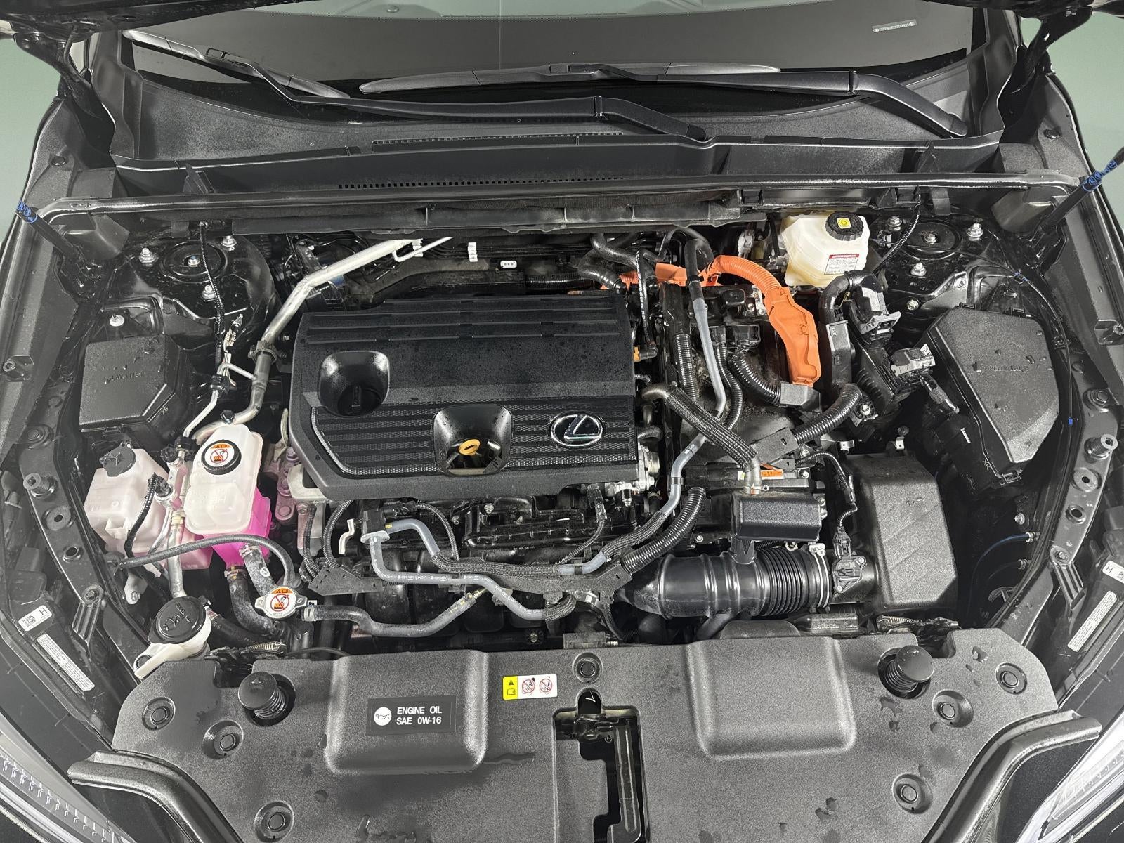 2025 Lexus NX 350h Luxury