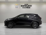 2025 Lexus NX 350h Luxury