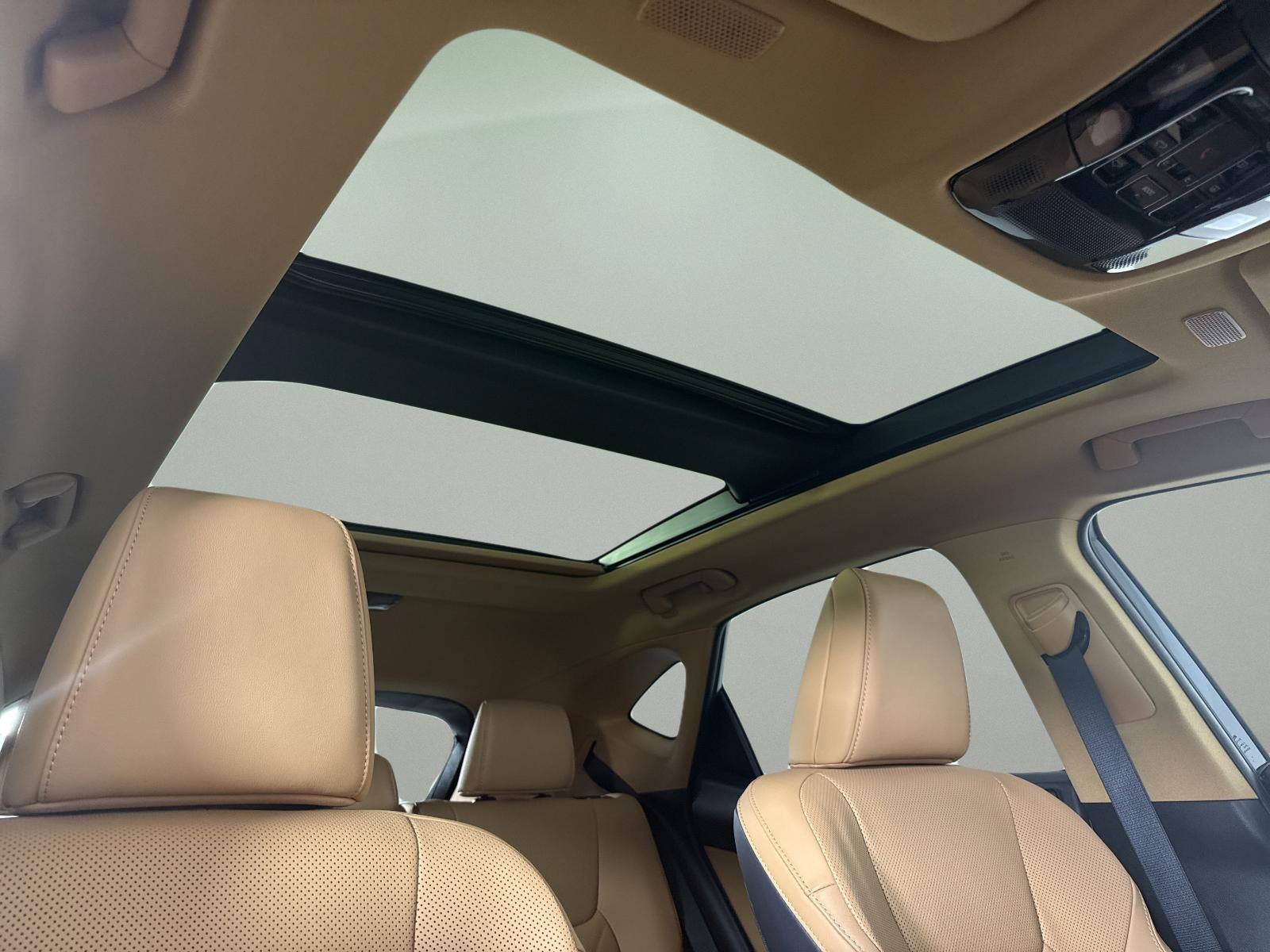 2025 Lexus NX 350h Luxury