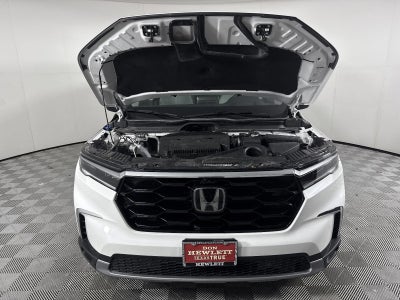 2024 Honda Pilot Elite