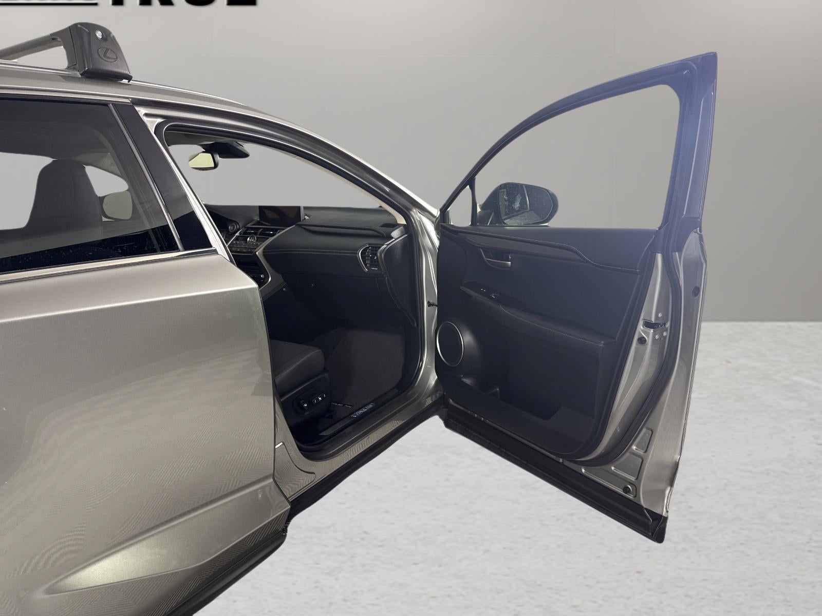 2021 Lexus NX 300 NX 300