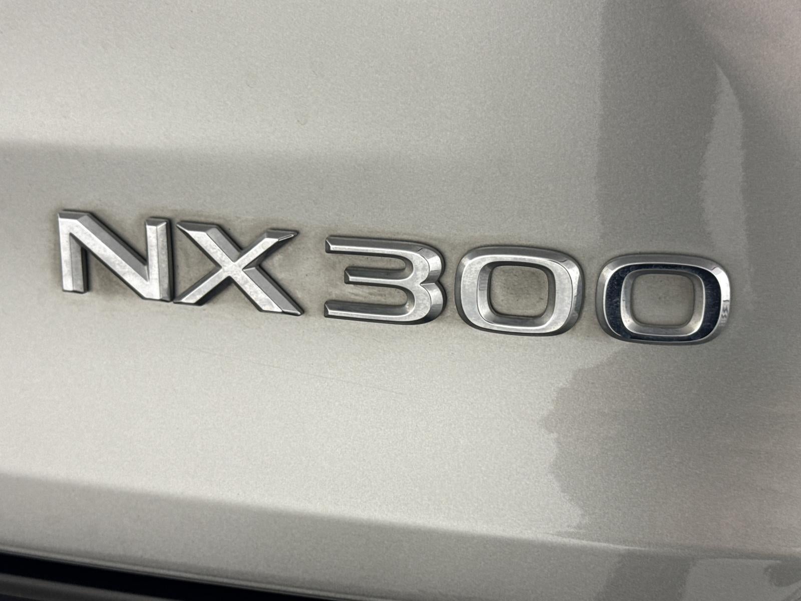 2021 Lexus NX 300 NX 300